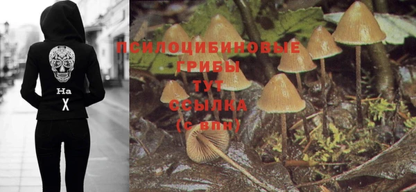 MESCALINE Переславль-Залесский