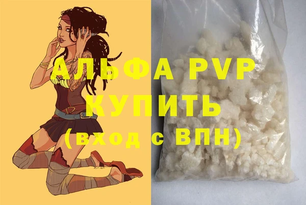 ECSTASY Горняк