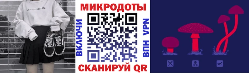 Купить закладки  Кизляр  Псилоцибиновые грибы Cubensis 